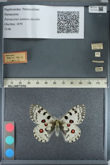 Media type: image;   Entomology 175036